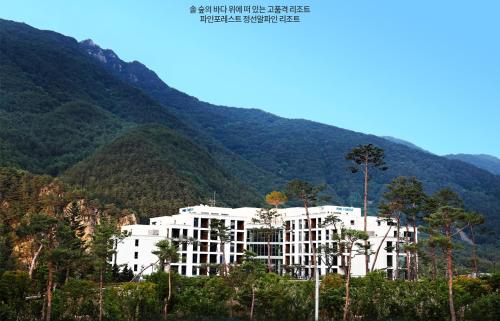 Pine Forest Jeongseon Alpine Resort في جونغ سون: مبنى ابيض كبير وسط جبل