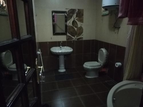 een badkamer met een toilet en een wastafel bij Happy days Pyramids Inn in Caïro