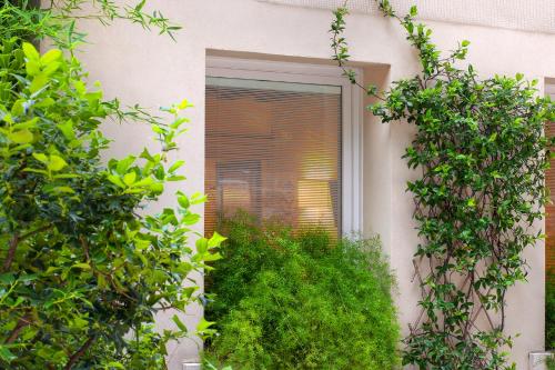 a window of a building with green plants at Albergo Al Moretto in Castelfranco Veneto
