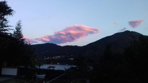 Imagen de la galería de B&B Selve di Rogaro, en Tremezzo