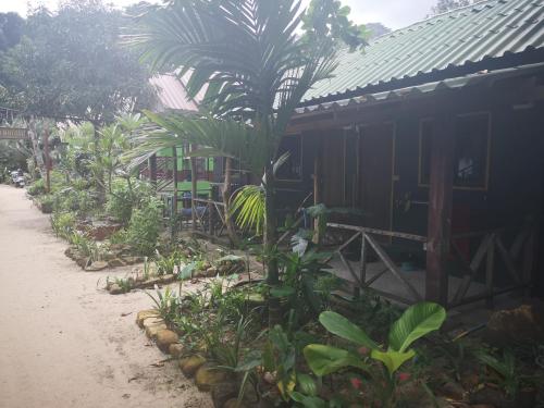 a house with a palm tree in front of it at Yuyu Golden Beach in Ko Chang
