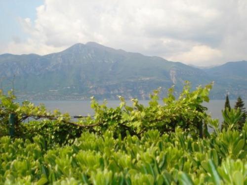 a view of a mountain and a body of water at Locanda San Marco in Torri del Benaco