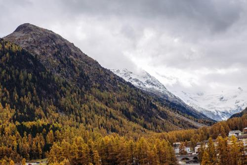 a mountain with trees and a town in front of it at Schloss Hotel & Spa Pontresina in Pontresina