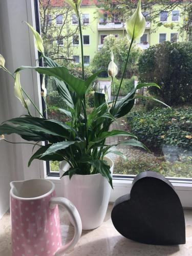 a plant sitting on a window sill next to a cup and a heart at Gemütliche Ferienwohnung im Erdgeschoss- Jenaer Straße in Erfurt