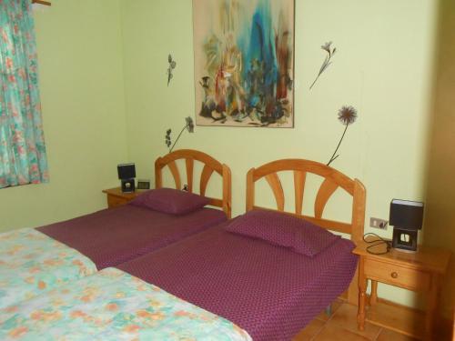 サンティアゴ・デル・テイデにあるBELLE VUE sur les FALAISESの紫のシーツが備わるベッドルームのベッド2台