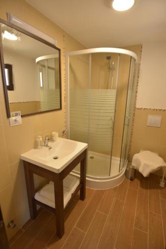 a bathroom with a sink and a shower at Casa Anastasia in Vişeu de Sus