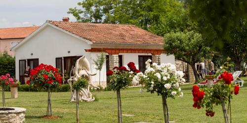 Holiday Home Linet – Photos 2