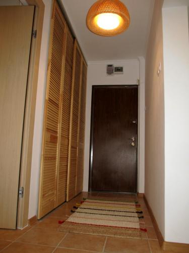 a hallway with a brown door and a rug at My Little Studio in Bucharest