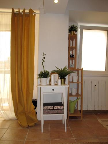 a table with plants on it next to a window at My Little Studio in Bucharest