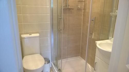 a bathroom with a shower and a toilet and a sink at The Townhouse in Elphin