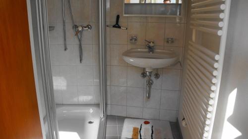 La petite salle de bains est pourvue d'un lavabo et d'une douche. dans l'établissement Marktgasse 9, à Appenzell