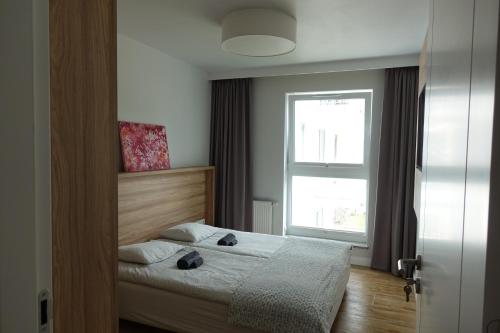 グダニスクにあるMy Old Town Gdańsk - Apartament Barbary 12のベッドルーム(ベッド1台、窓付)