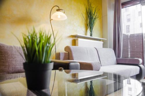 Fotografia z galérie ubytovania Apartament Parkowy Chodkiewicza vo Varšave