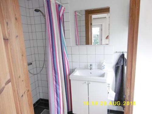 een badkamer met een wastafel en een douchegordijn bij 4 Louisenlund in Skanderborg