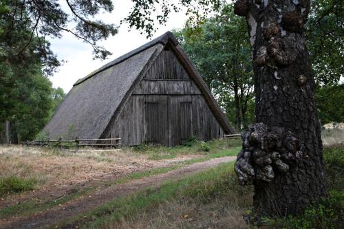 an old barn with a thatched roof next to a tree at Ferienwohnungen / Ferienhaus Wahlers in Bispingen