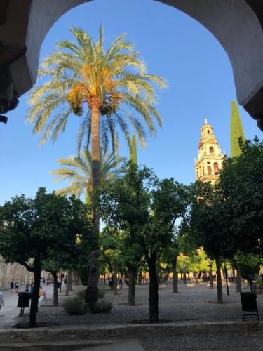 El 5 de la Hoguera