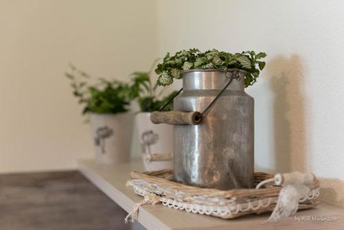 a metal watering can sitting on a table with plants at Apartment Gehrenspitze in Reutte