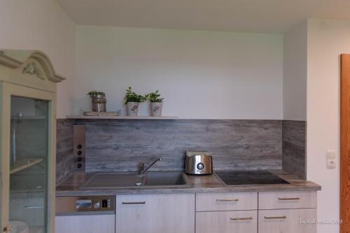 eine Küche mit einer Spüle und einer Arbeitsplatte in der Unterkunft Apartment Gehrenspitze in Reutte