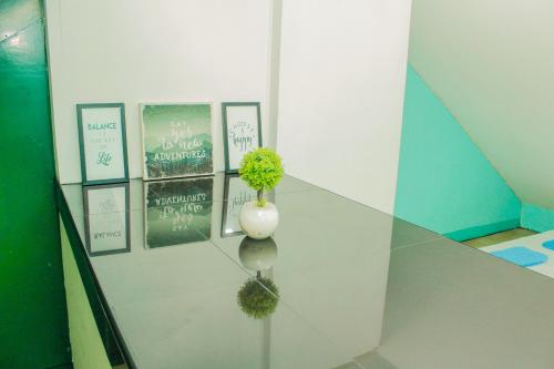 a glass table with a vase with a plant on it at Nomads MNL Backpackers Homestay - near Airport in Manila