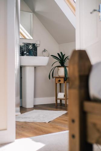 a bathroom with a sink and a potted plant at Sea Shimmer in Portree