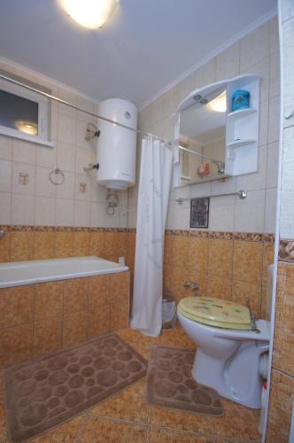 a bathroom with a toilet and a tub and a shower at Аня Рома in Lazeshchyna