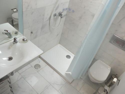 W łazience znajduje się prysznic, toaleta i umywalka. w obiekcie Plaza San Benito w mieście La Laguna