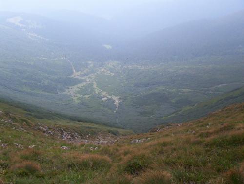 a view from the top of a mountain with a valley at Аня Рома in Lazeshchyna