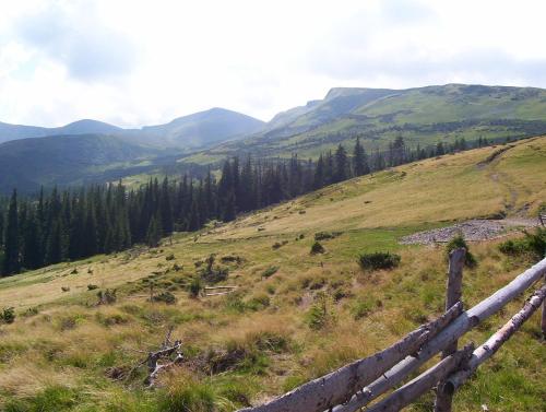 a fence on a hill with mountains in the background at Аня Рома in Lazeshchyna