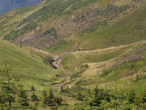 a valley in a mountain with a river in it at Аня Рома in Lazeshchyna
