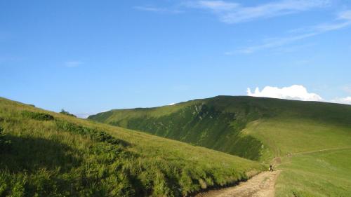 a person walking down a dirt road on a green hill at Аня Рома in Lazeshchyna
