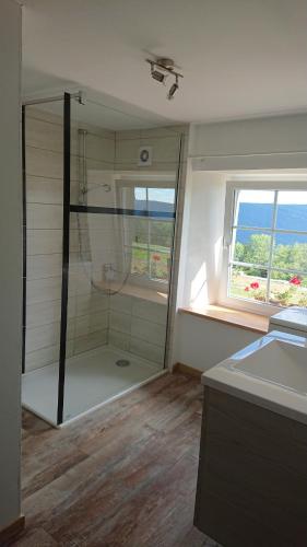a bathroom with a shower and a sink and a window at viaux-fontaine in Saulxures-sur-Moselotte