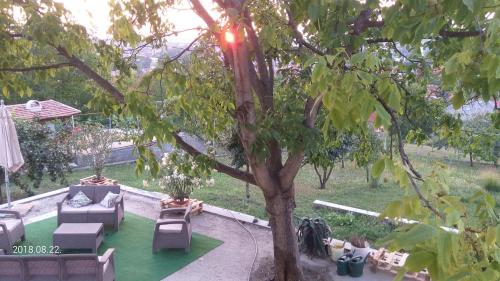 a patio with couches and chairs under a tree at Szent Iván Apartman in Eger