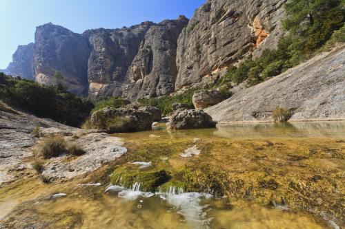 Un paisaje natural cerca de la casa de huéspedes