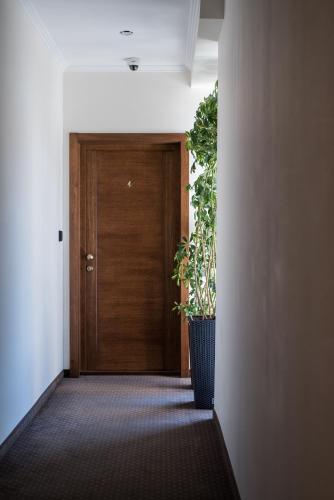 a hallway with a wooden door and a potted plant at Pensiunea David in Târgu-Mureş