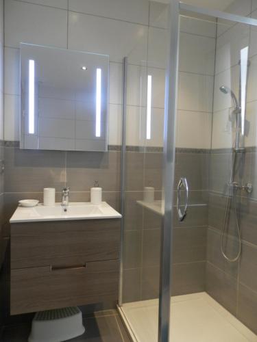 科爾馬的住宿－JAB'S HOME，带淋浴、盥洗盆和卫生间的浴室