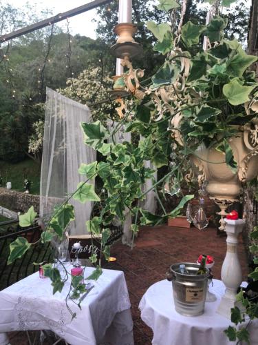 Fotografie z fotogalerie ubytování Guest House Antico Frantoio Pietrasanta Affittacamere v destinaci Pietrasanta