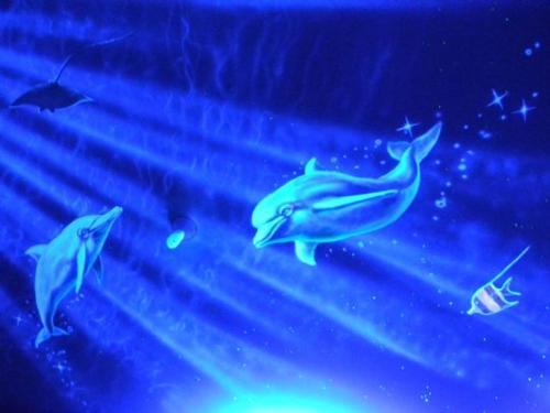 a group of dolphins swimming in an aquarium at Miaoli Sanyi Bo Wu Guan Homestay in Sanyi