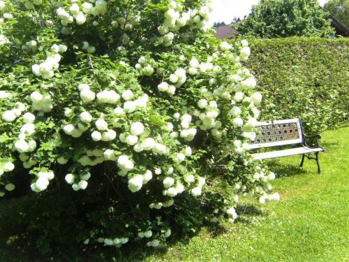 Galeriebild der Unterkunft Haus Ramusch in Schiefling am See