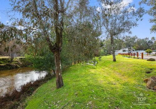 a grassy field with trees and a river at Yea Riverside Caravan Park in Yea