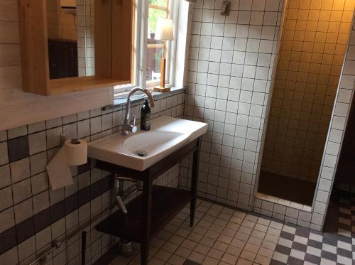 a bathroom with a sink and a mirror at Ynde Private Apartment in Sölvesborg