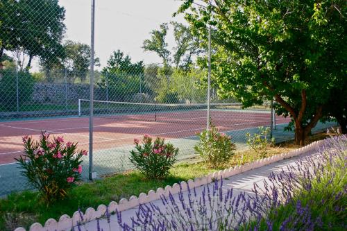 Gallery image of Bastide Avellanne in Besse-sur-Issole