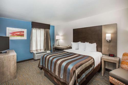 a hotel room with a large bed and a television at Wingate by Wyndham Louisville Airport Expo Center in Louisville
