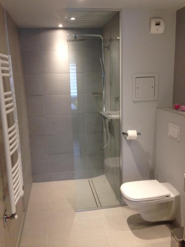 La salle de bains est pourvue d'une douche et de toilettes. dans l'établissement Tempologis Grenoble, à Grenoble