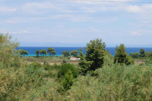 Φυσικό τοπίο κοντά σε αυτό το ξενοδοχείο διαμερισμάτων