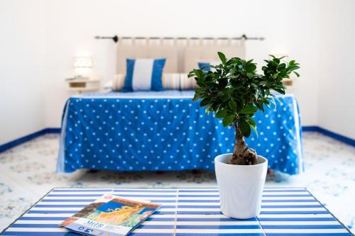 a potted plant sitting on a table in a room at Alcione Residence in Positano