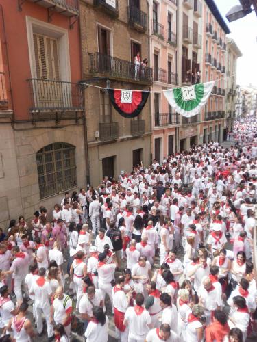 a large crowd of people walking down a street at Maisonnave in Pamplona