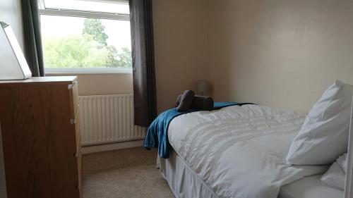 a bedroom with a bed and a window at Elmfield Court in Bordon