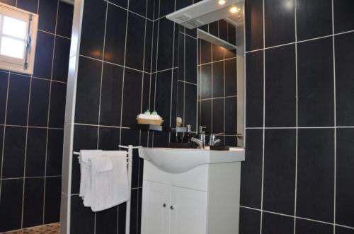 uma casa de banho com um lavatório e um espelho em Le four à pain em Saint-Philippe
