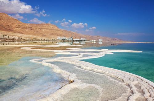 un grupo de rocas en el agua cerca de una playa en Nadia Hosting Dead Sea, en Neve Zohar