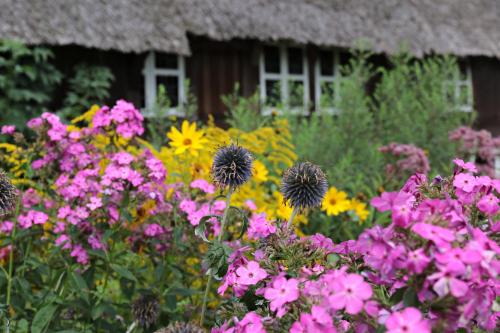 a garden of flowers in front of a house at Ferienwohnungen / Ferienhaus Wahlers in Bispingen